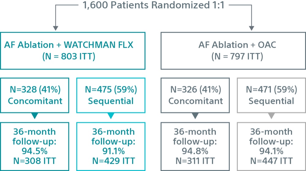 OPTION Clinical Trial design chart.