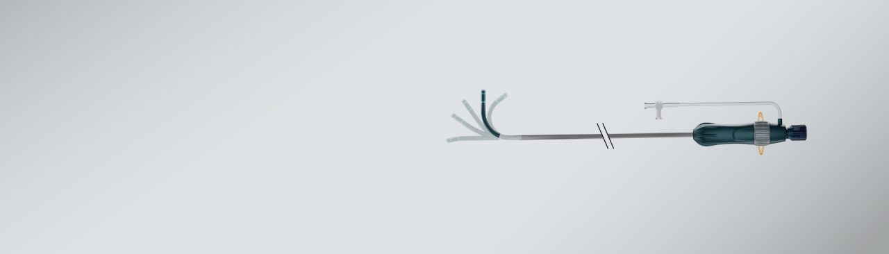 WATCHMAN 
TruSteer™ Access System