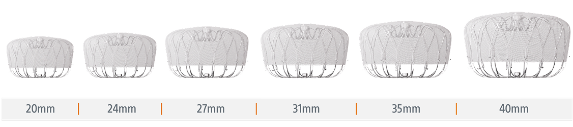 WATCHMAN FLX Pro device size chart.