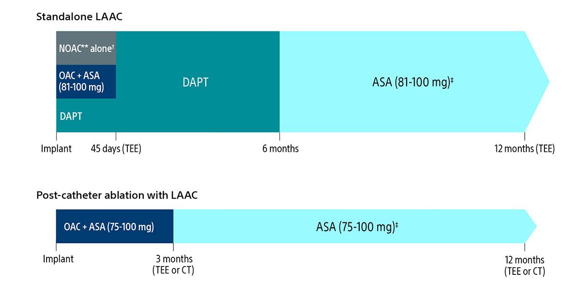 Post-implant DAPT drug regimen options.